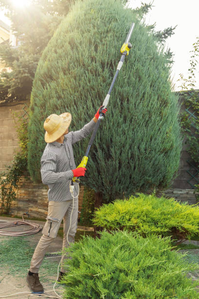 Best Seasonal Cleanup (Spring/Fall)  in Dickson, TN